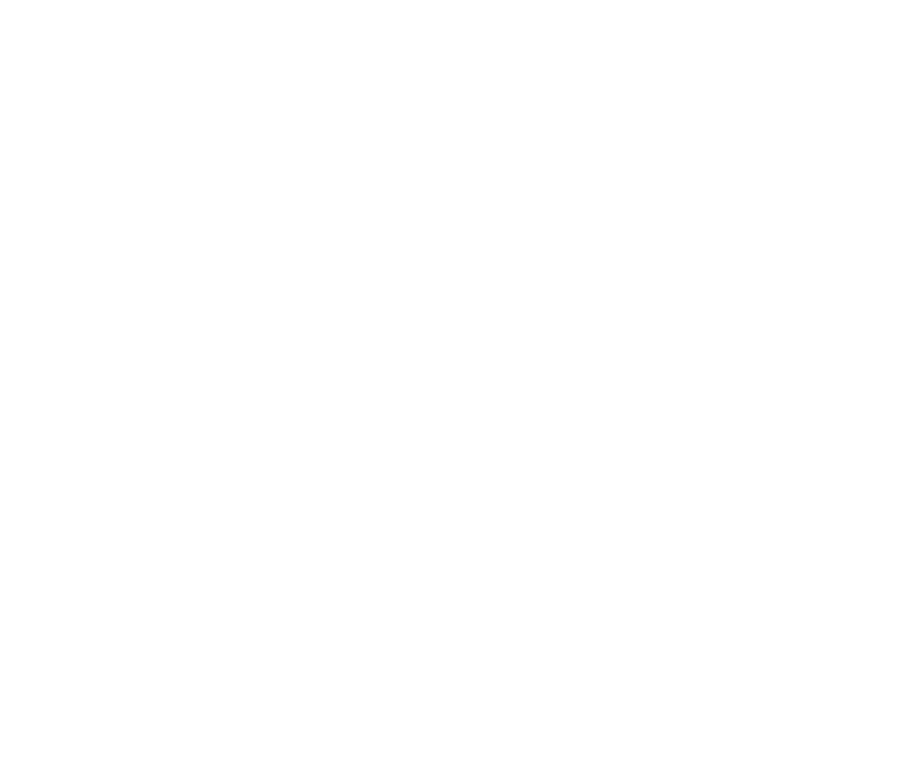 МОДЕЛЬ ООН